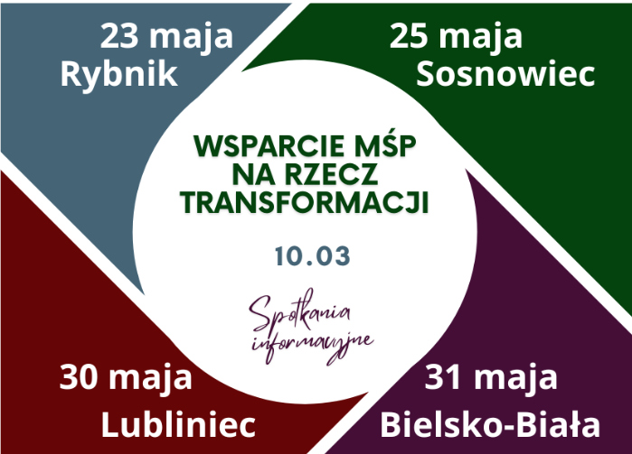 Wsparcie MŚP na rzecz transformacji 10.03 (Makroinwestycje) - spotkania informacyjne