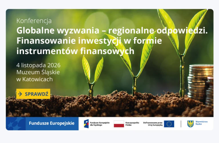 Globalne wyzwania - regionalne odpowiedzi. Finansowanie inwestycji w formie instrumentów finansowych